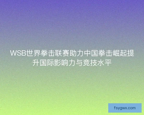 WSB世界拳击联赛助力中国拳击崛起提升国际影响力与竞技水平