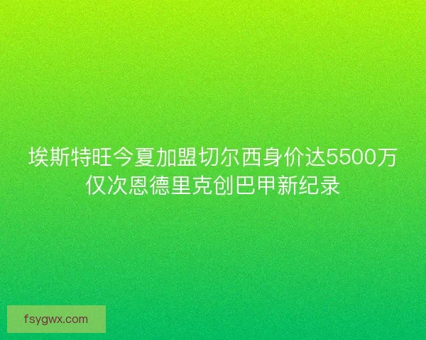 埃斯特旺今夏加盟切尔西身价达5500万仅次恩德里克创巴甲新纪录